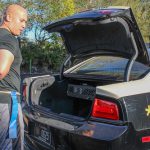 Person standing behind trunk