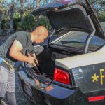 Person removing baton from trunk
